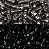 
              10 tornillos Titanio Para Disco Freno Delantero Ducati (M8*20) Negro / Plata
            